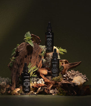 Brave return of plant wisdom: Origin Story of Brave Tinctures