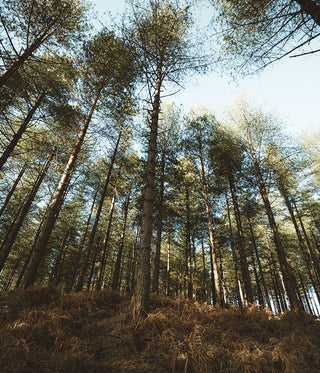 10 Ways to Include More Mindfulness in Your Day
