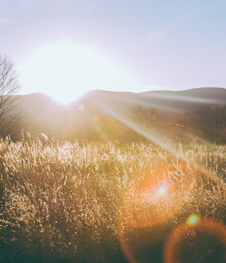 Biohacking: putting you in control of your own wellbeing