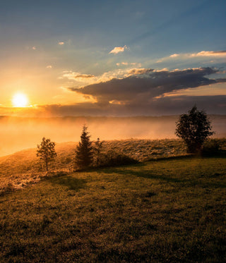 The Summer Solstice: A sacred portal for renewal, ritual, and reconnection