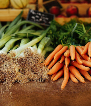 How to Improve your Gut Health