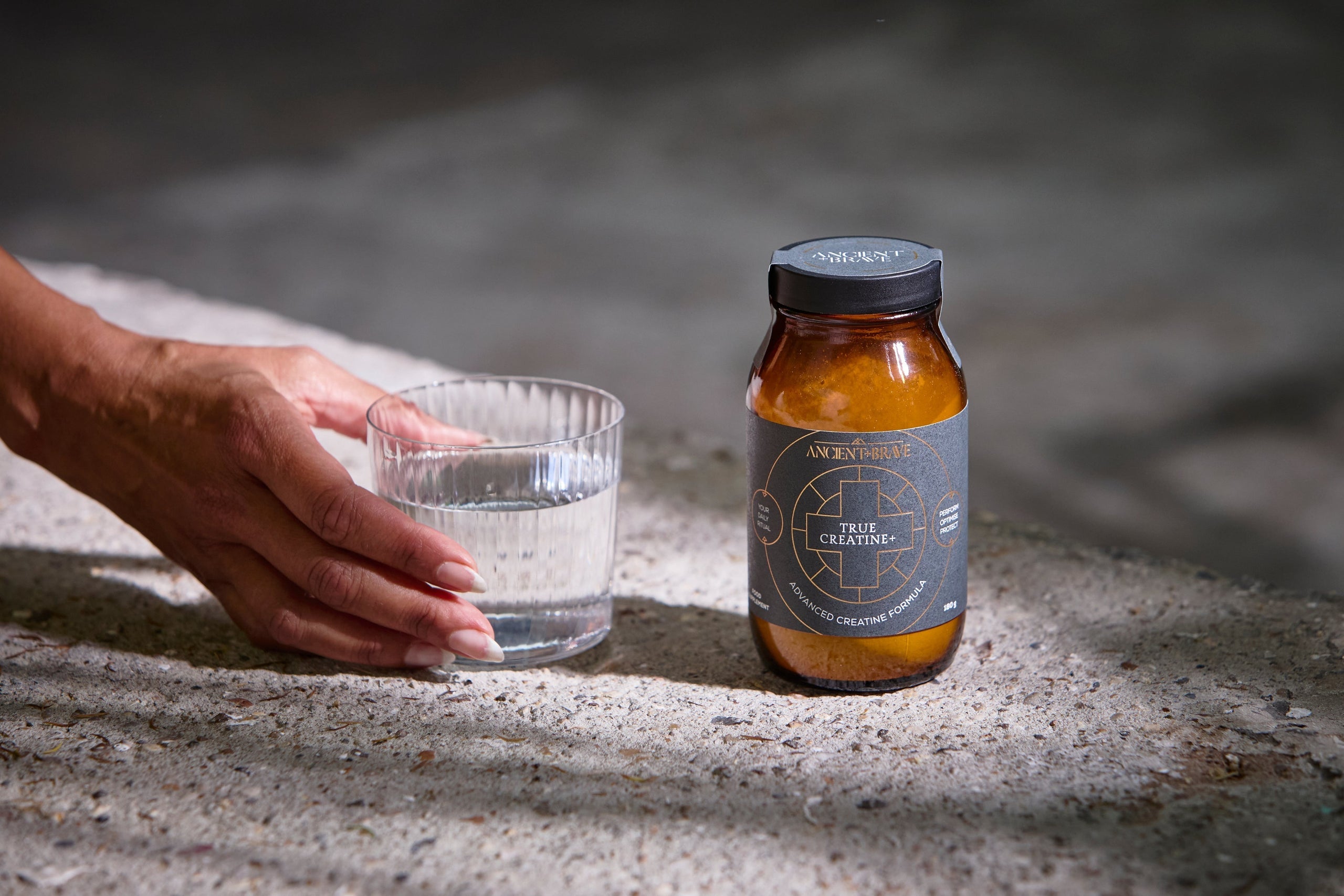 True Creatine+: A comprehensive ally for fitness, menopause, longevity, and cognition