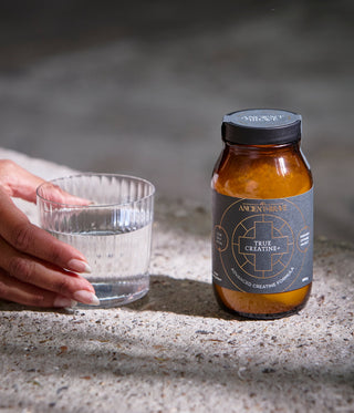 True Creatine+: A comprehensive ally for fitness, menopause, longevity, and cognition