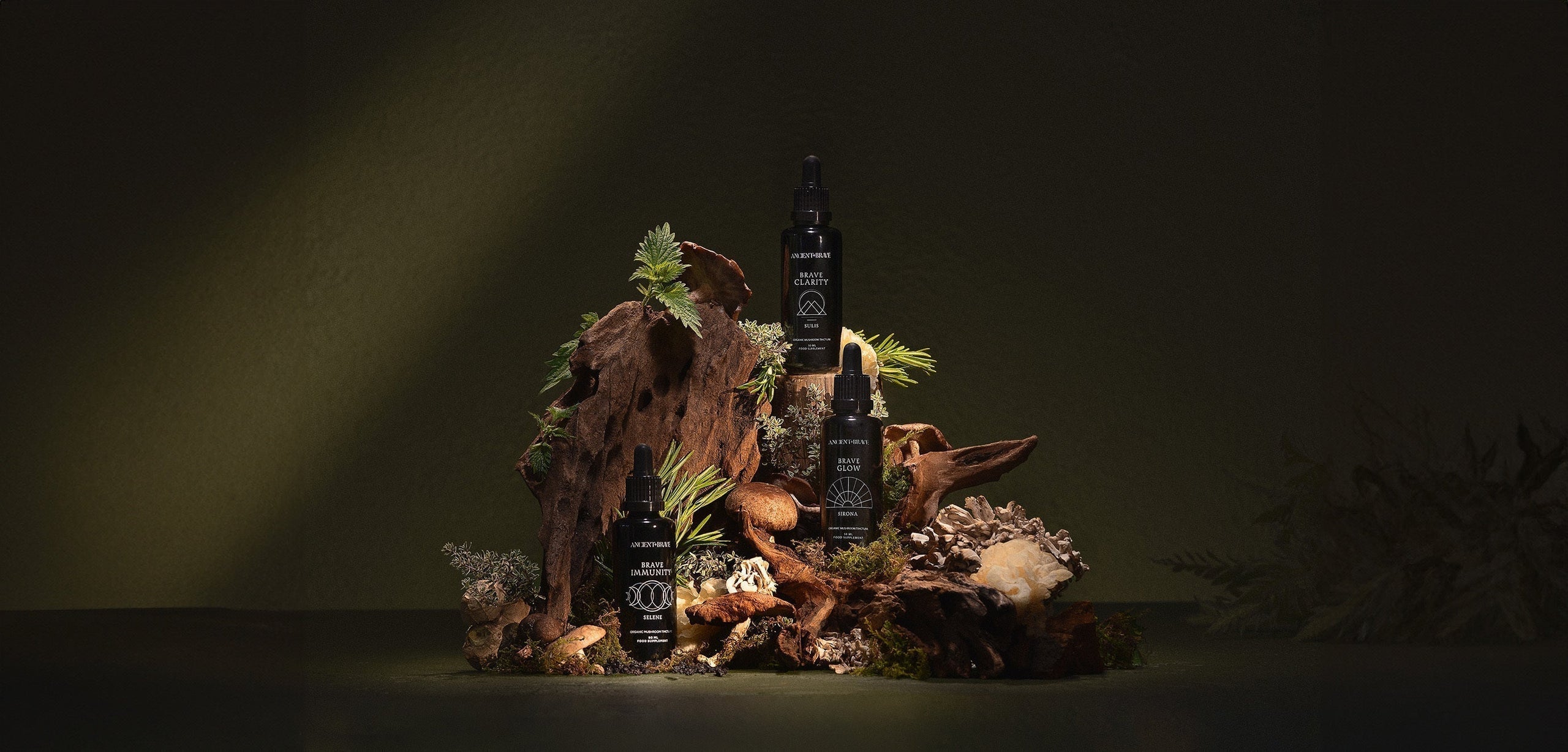 Brave return of plant wisdom: Origin Story of Brave Tinctures