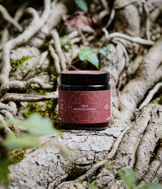 Your guide to ashwagandha