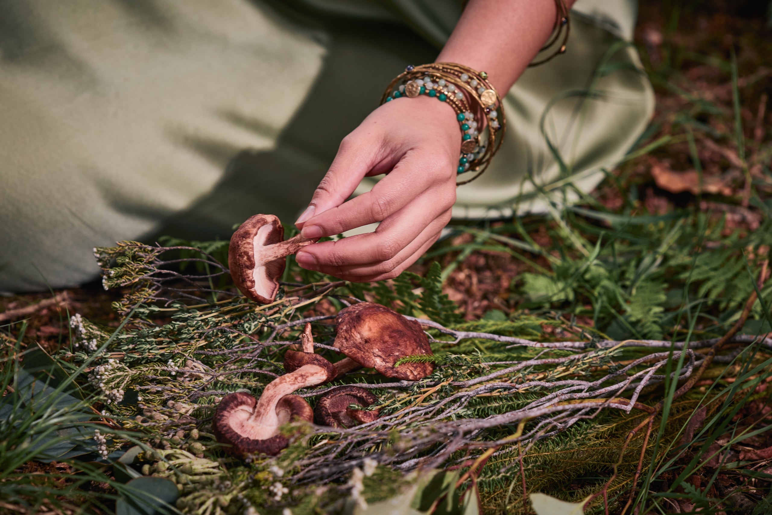 A deep dive into the mushrooms and herbs in our Brave Tinctures