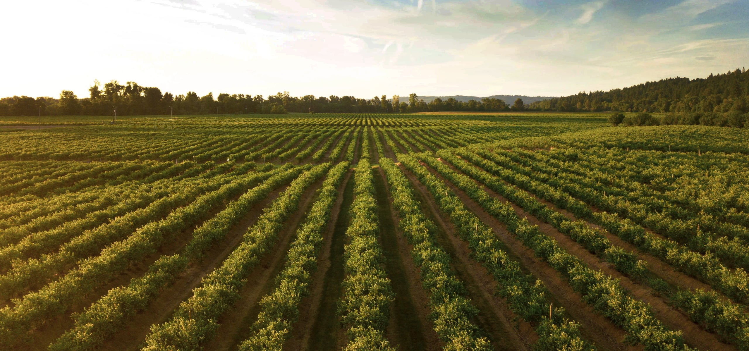 Where Your Food Comes from Matters