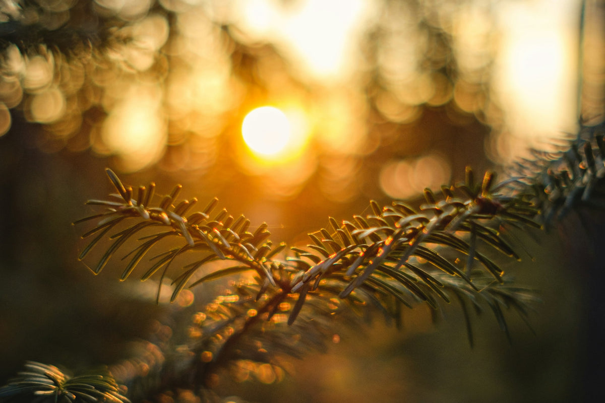 We Know Vitamin D Matters. So Why Aren't We Taking It?