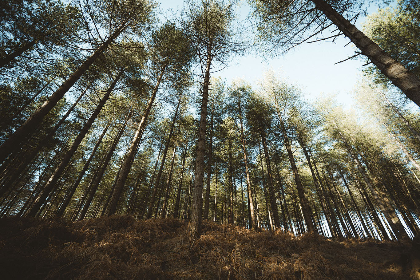 10 Ways to Include More Mindfulness in Your Day