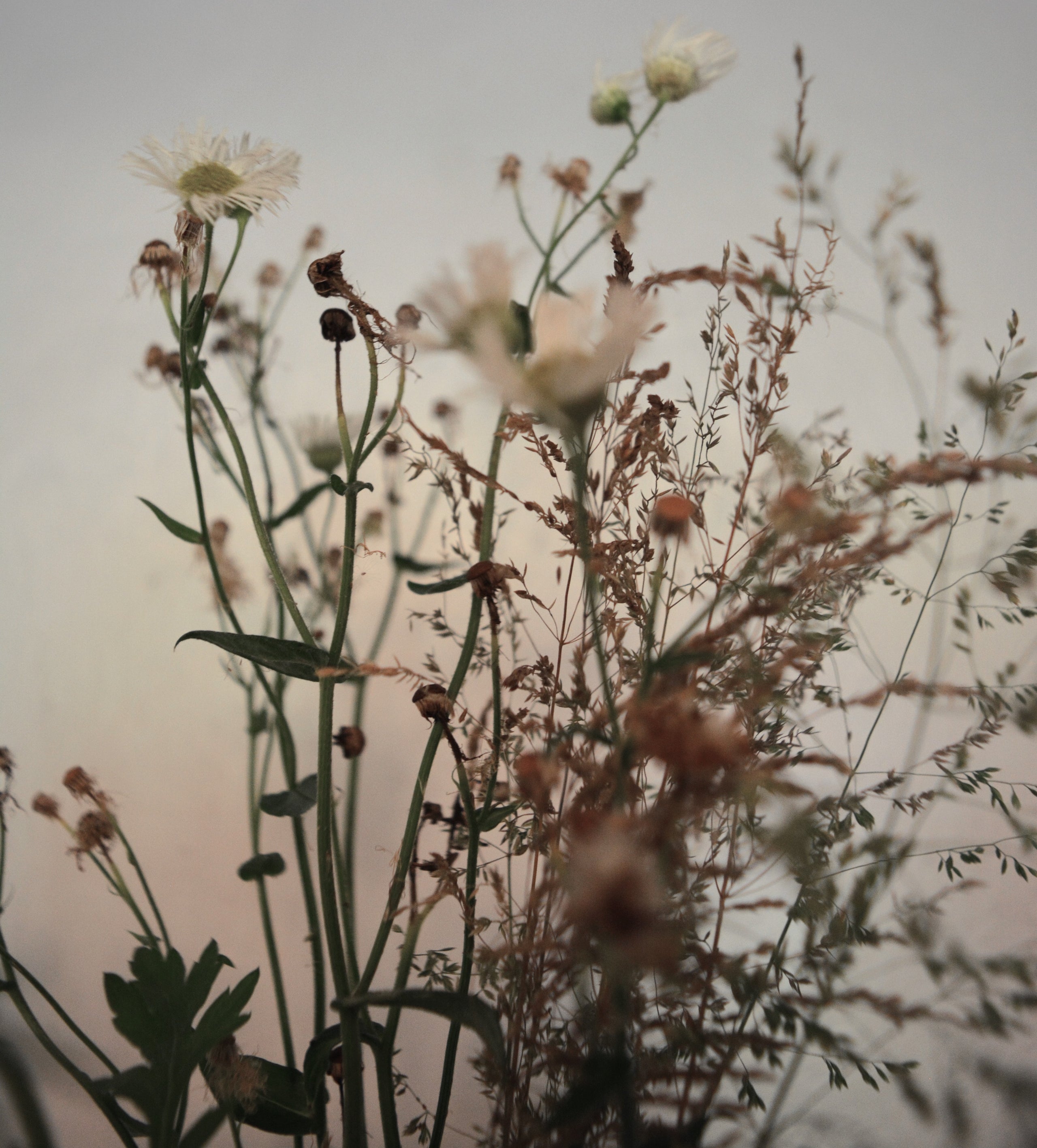 Spring Seasonal Recipes