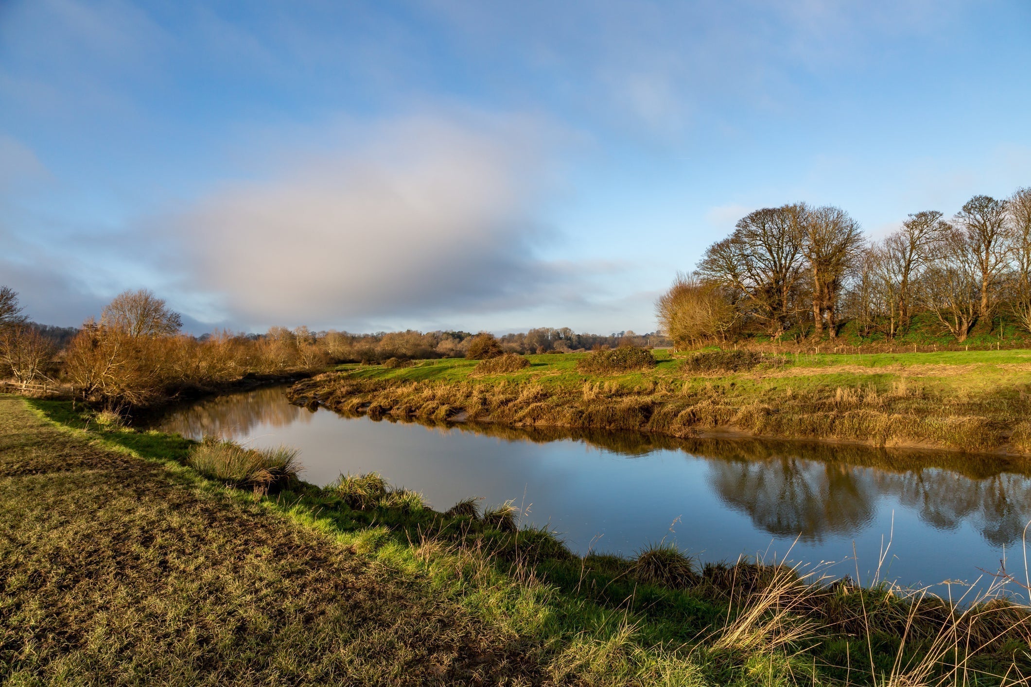Ouse + Adur Rivers Trust