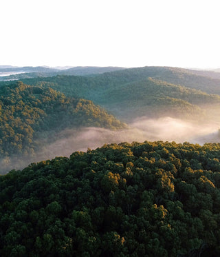 The secrets of the Blue Zones: What we’ve learned about living well
