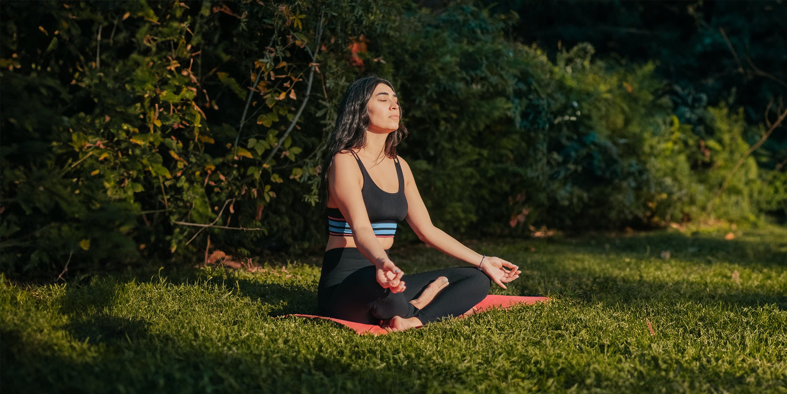 The Transformative Power of Breathwork
