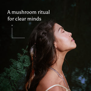 Brave Clarity