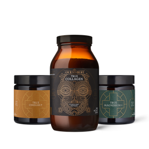 The Foundation Kit