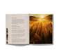 An open copy of A Brave Life featuring text about wellness rituals on the left and a landscape photo of a forest at sunrise on the right.