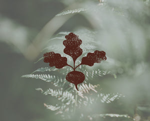 Decorative beetroot and leaf design overlay on a blurred natural background