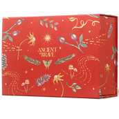 A red rectangular gift box with gold foil botanical illustrations and the text 'ANCIENT + BRAVE' on the front.