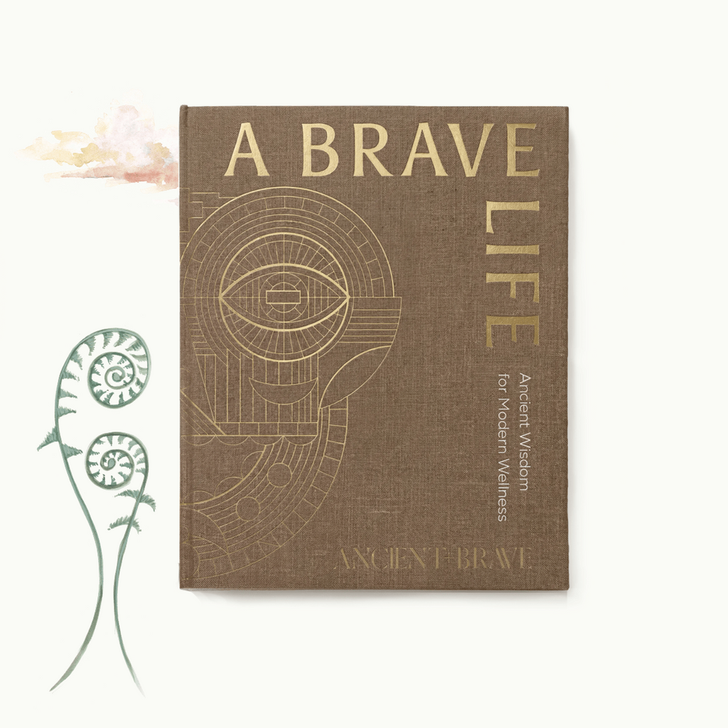 A Brave Life