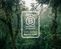 Certified B Corporation logo over a lush green forest